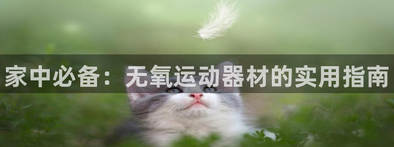 NG大舞台官网下载招商电话是多少啊：家中必备：无氧运动器材的