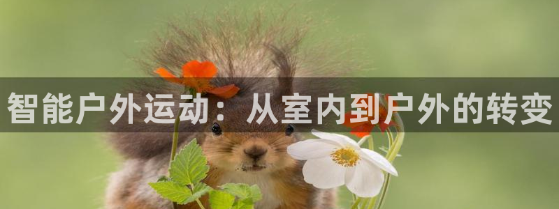 NG大舞台官方平台体育：智能户外运动：从室内到户外的转变